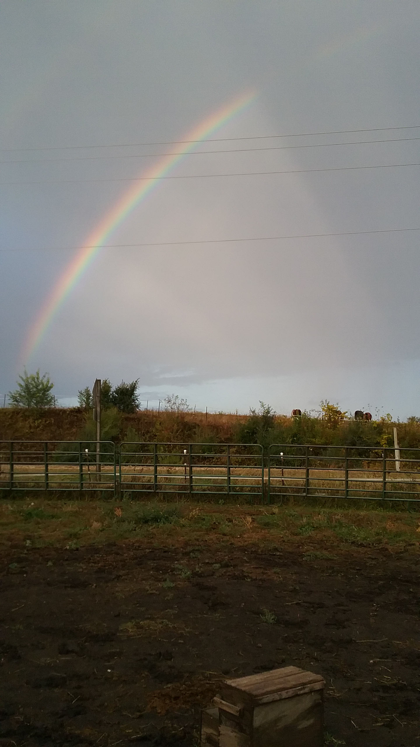 20171004_073940-2